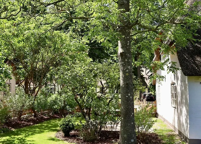 Kapteins Hueues Og *